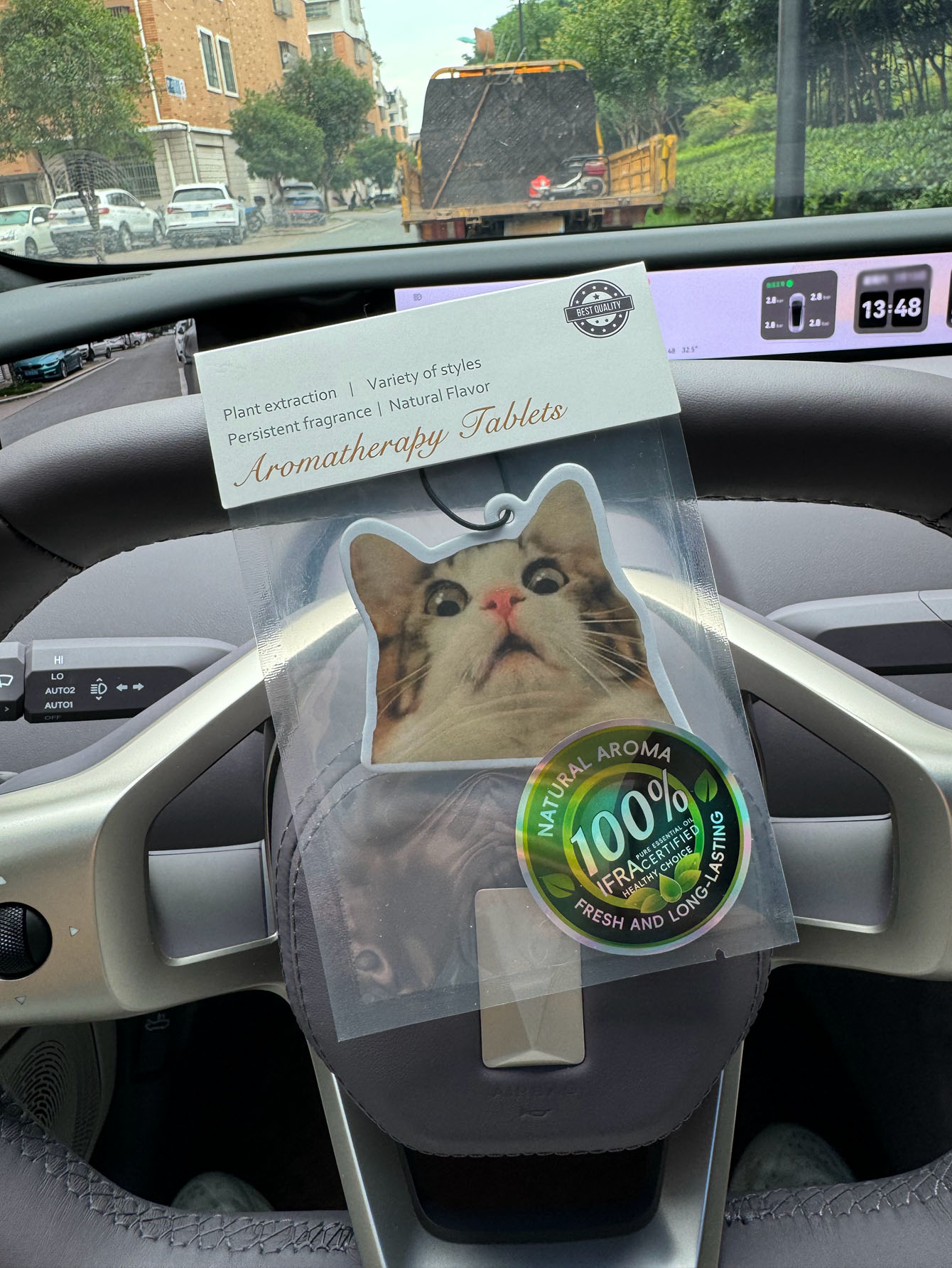 Surprised Shocked Cat Meme Car - Home Fragrance Luxury recension och pris