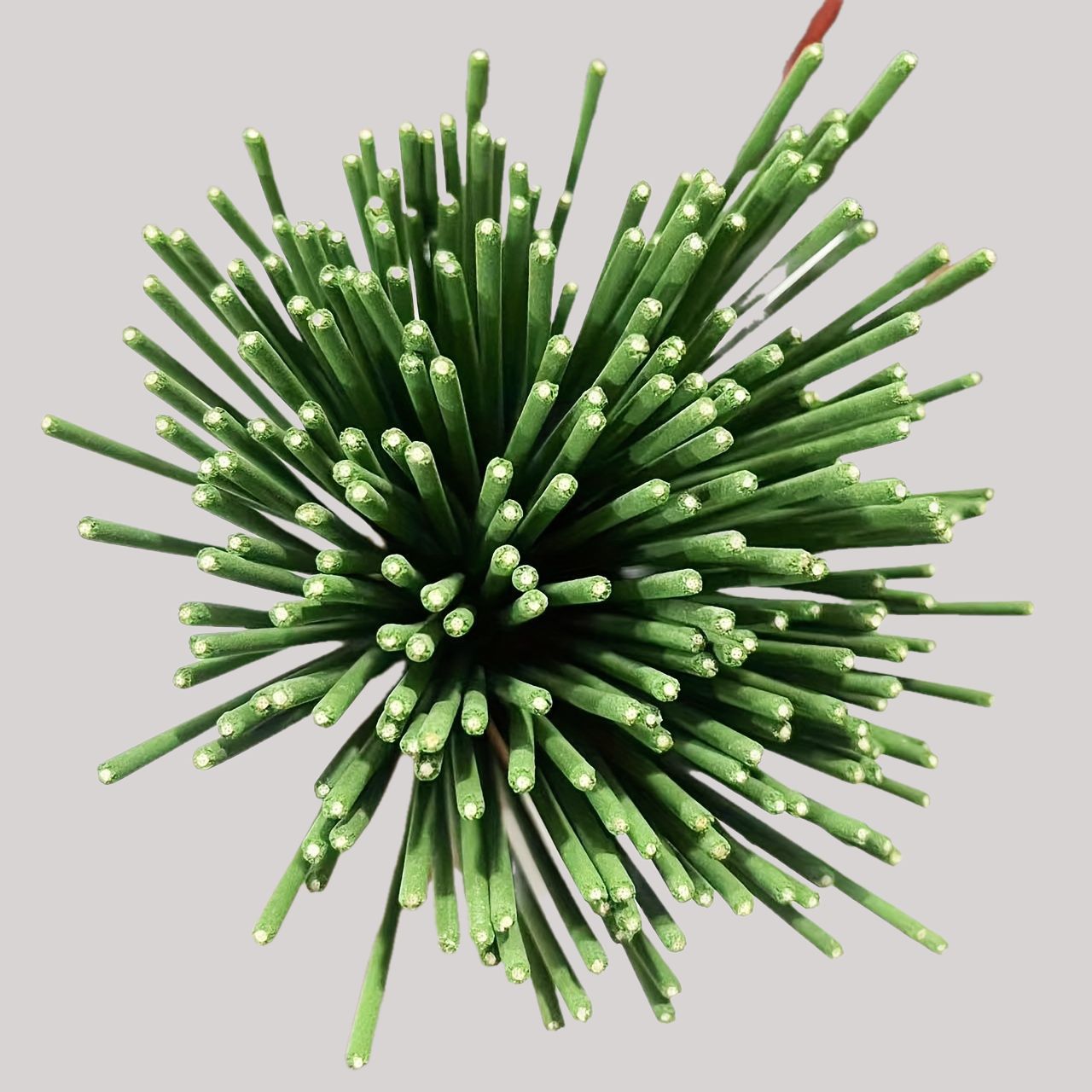 Reed Diffuser Sticks Lemongras - Home Fragrance Items recension och pris